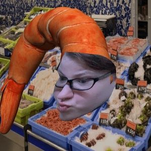 Meet your Posher, Cheyenne